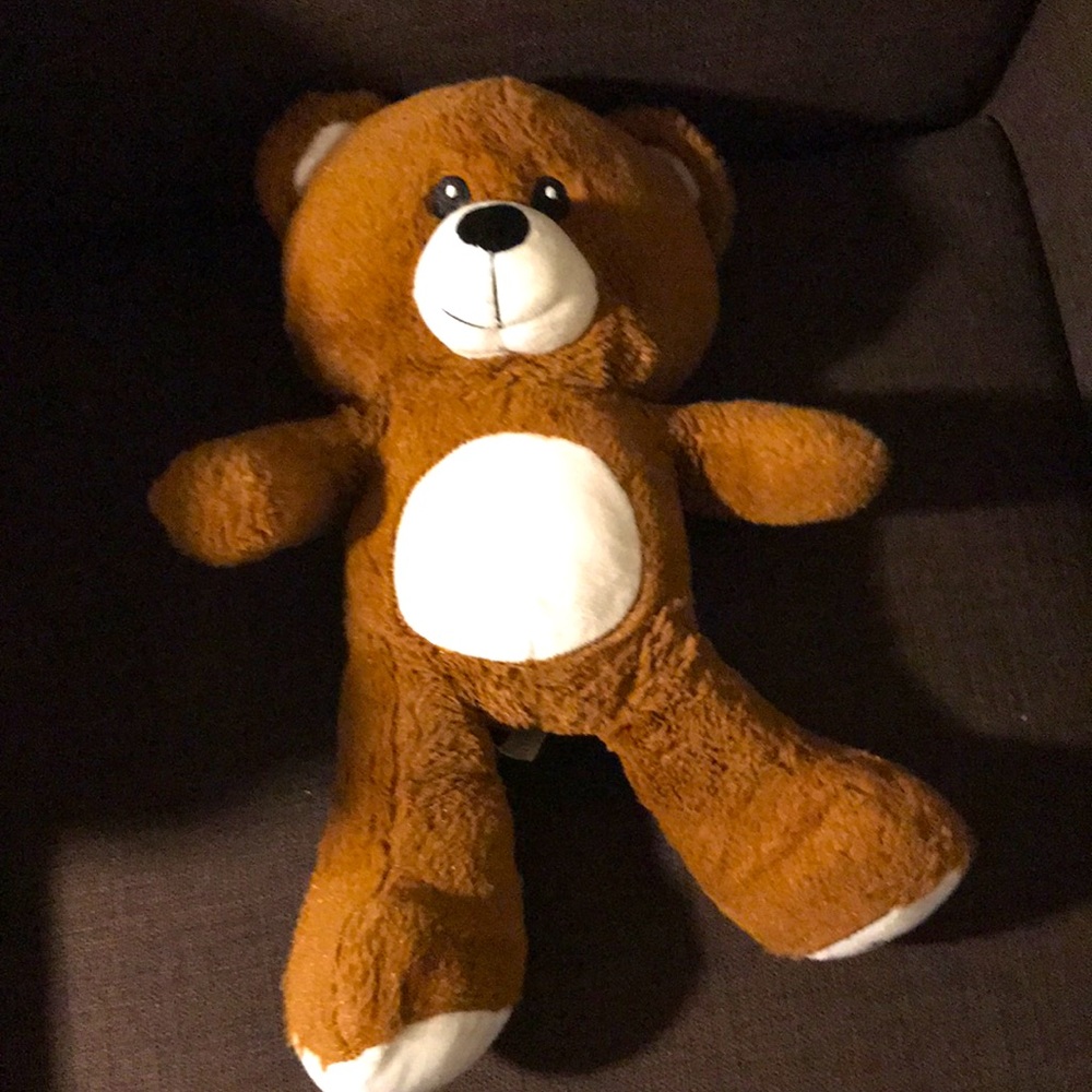 Kids Teddy Bear